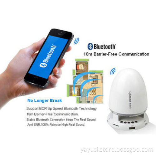 Hands-free Call Bluetooth Speaker